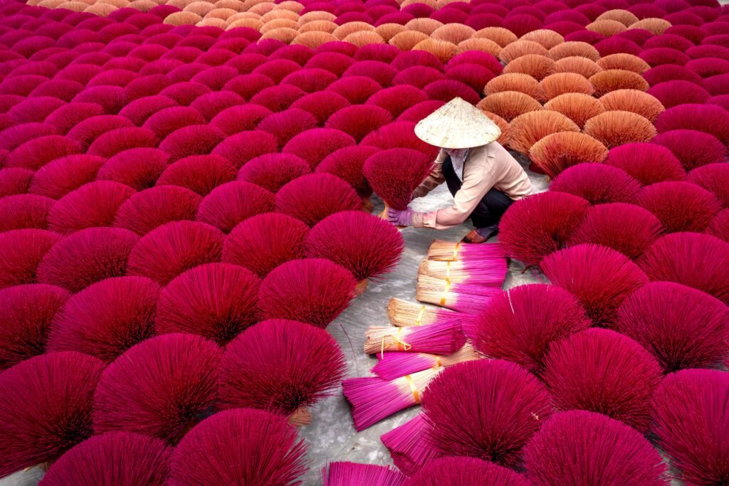 A worker arranges vibrant incense sticks drying outdoors in Hanoi, Vietnam.